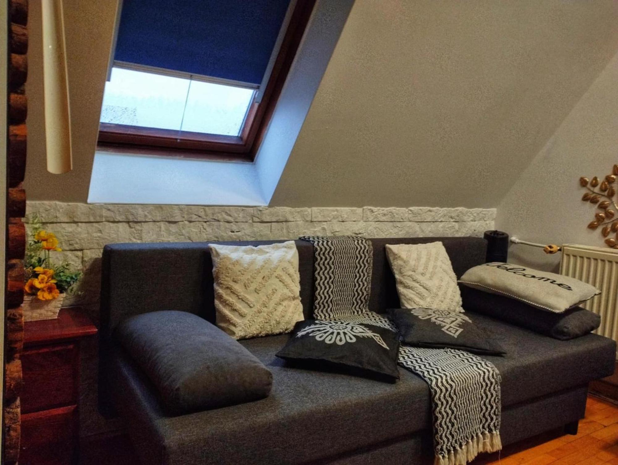 Willa Czajka - Widokowe Apartamenty Zakopane Exterior foto